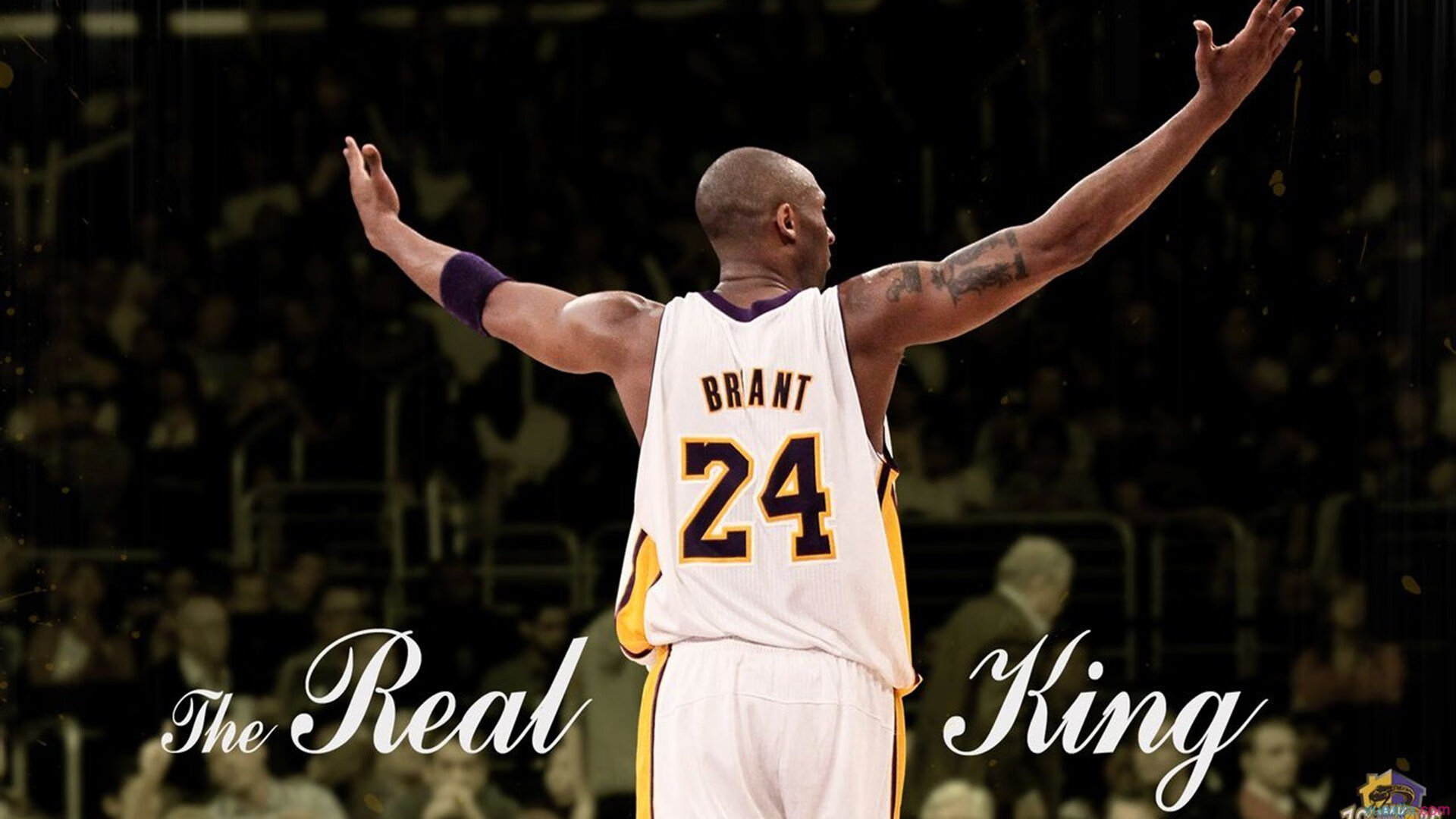 “智能训练系统助拳青训，提升少年技术全面发展”，智能训练仪器有用吗